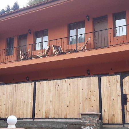 Guest House Borjomula بورجومي المظهر الخارجي الصورة