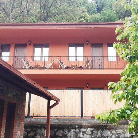 Guest House Borjomula بورجومي المظهر الخارجي الصورة