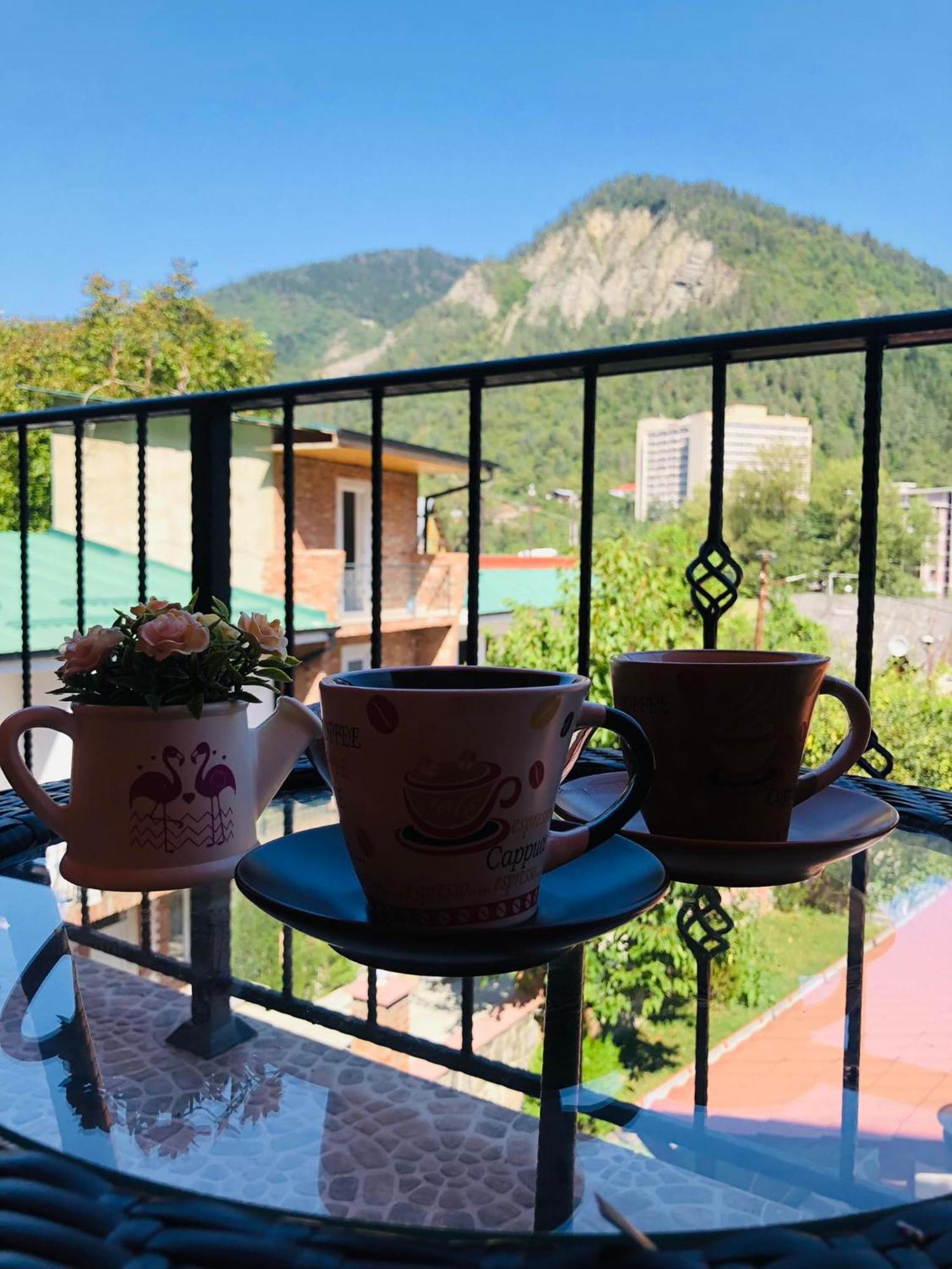 Guest House Borjomula بورجومي الغرفة الصورة